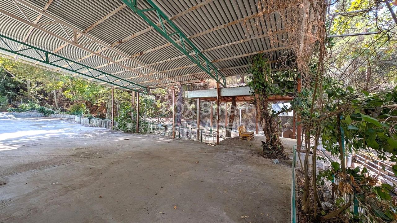 Thumbnail 16 Property 2800 Kakopetria, Nicosia / 46375 | 46375 Thumbnail 16 Property 2800 Kakopetria, Nicosia / 46375