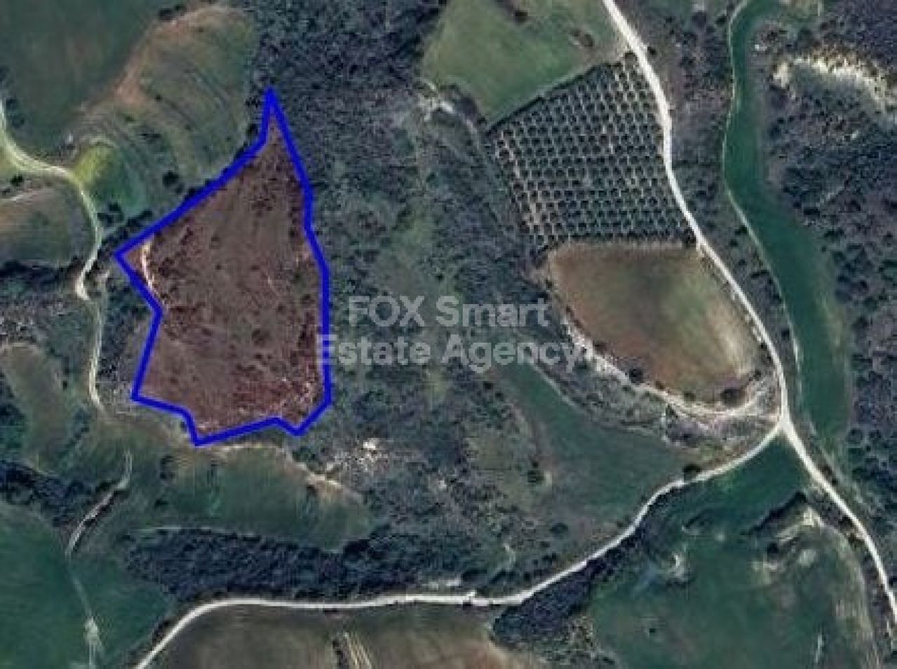 Thumbnail 1 房地产 8722 Pano Akourdaleia, 帕福斯 / LIM-PAF-L-110743