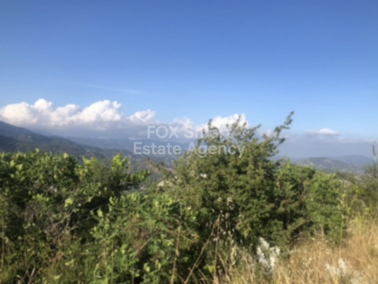 Immobilie 26751 Koilani, Limassol / LIM-PAF-14320