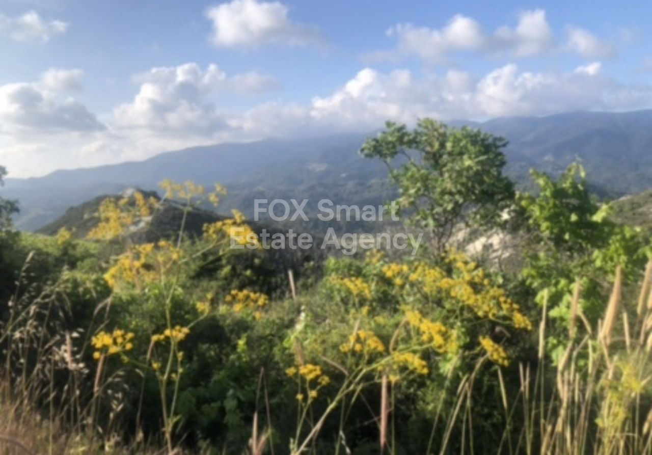 Immobilie 26751 Koilani, Limassol / LIM-PAF-14320