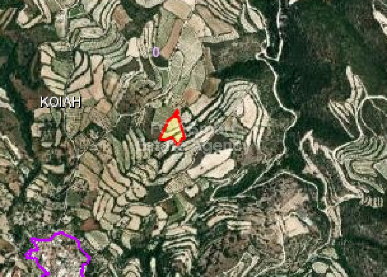 Thumbnail 3 房地产 8543 Koili, 帕福斯 / LIM-PAF-6243