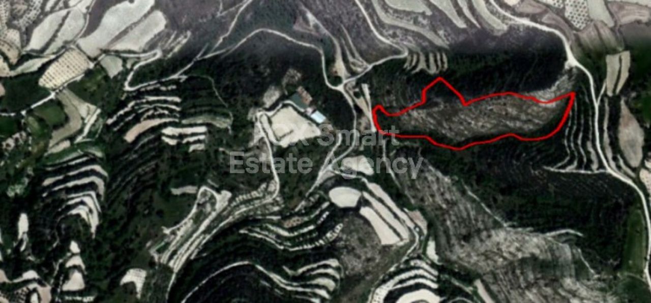 Thumbnail 1 房地产 8543 Koili, 帕福斯 / LIM-PAF-6243