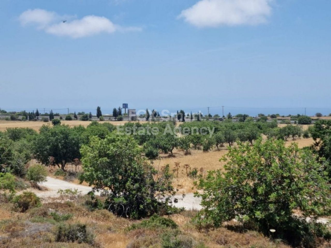 Thumbnail 4 LIM-PAF-L-102030 / נכס 8300 קוניה, פאפוס