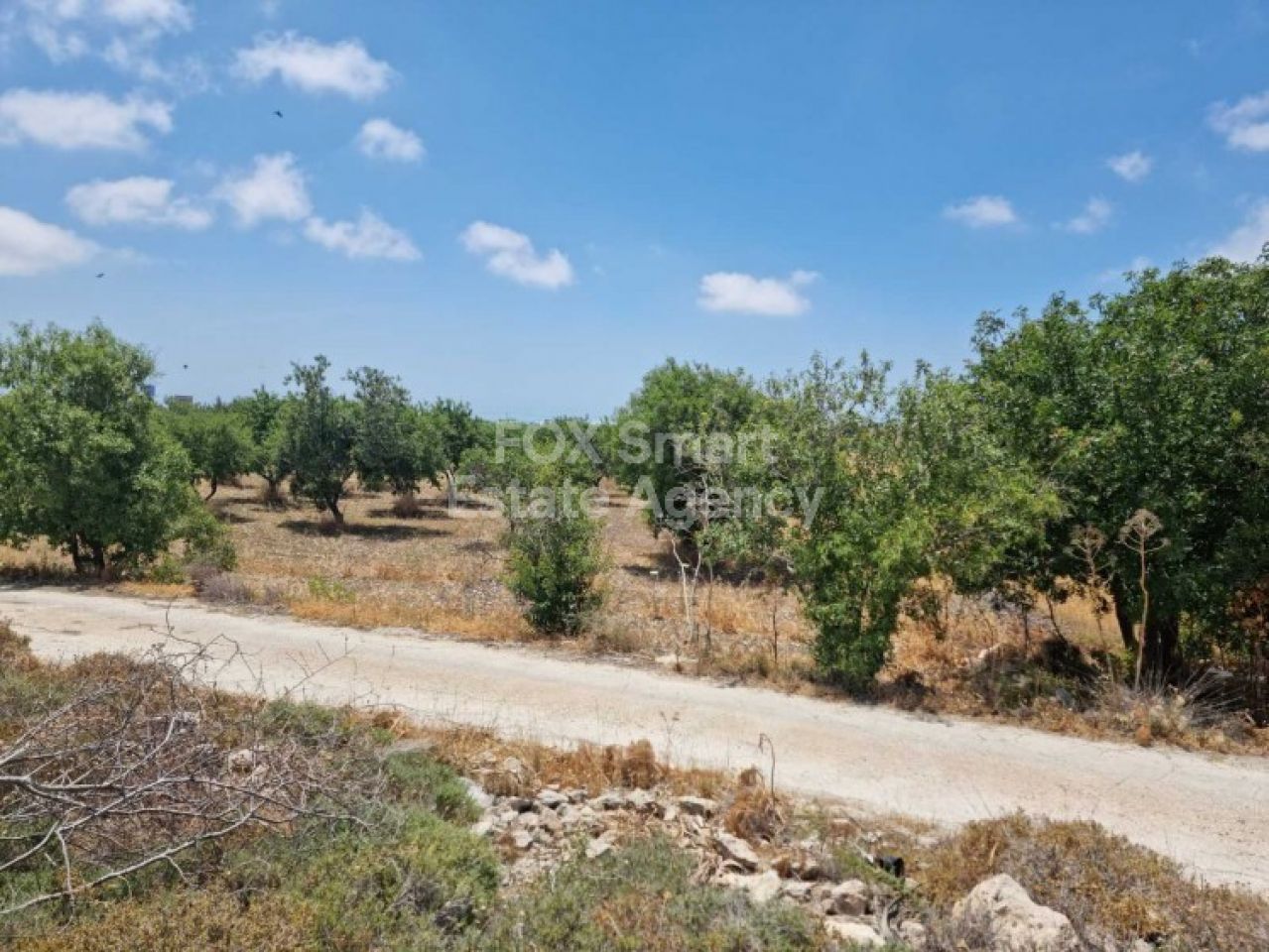 Thumbnail 2 LIM-PAF-L-102030 / נכס 8300 קוניה, פאפוס