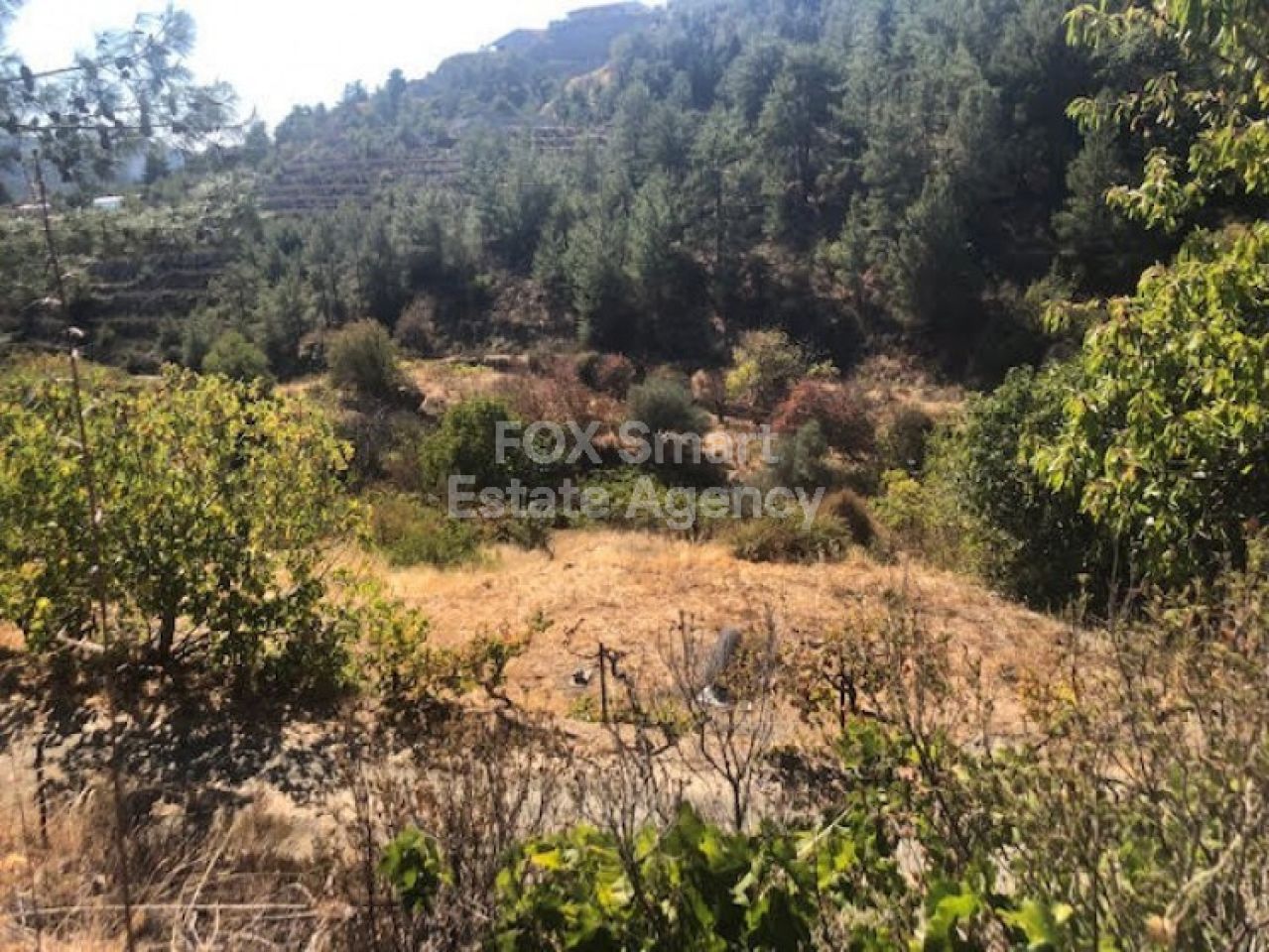 Thumbnail 1 Property 4876 Kyperounta, Limassol / LIM-PAF-26738