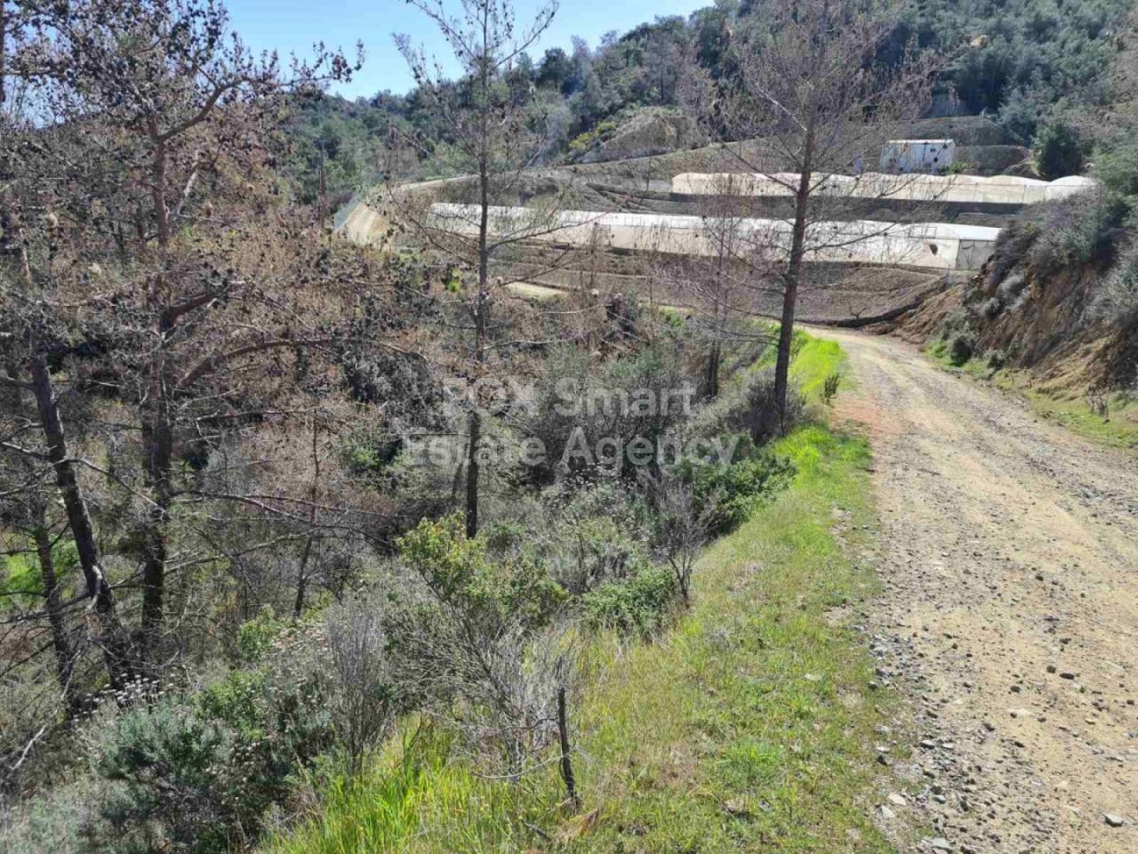 Immobile 26776 Kalo Chorio, Limassol / LIM-PAF-12193