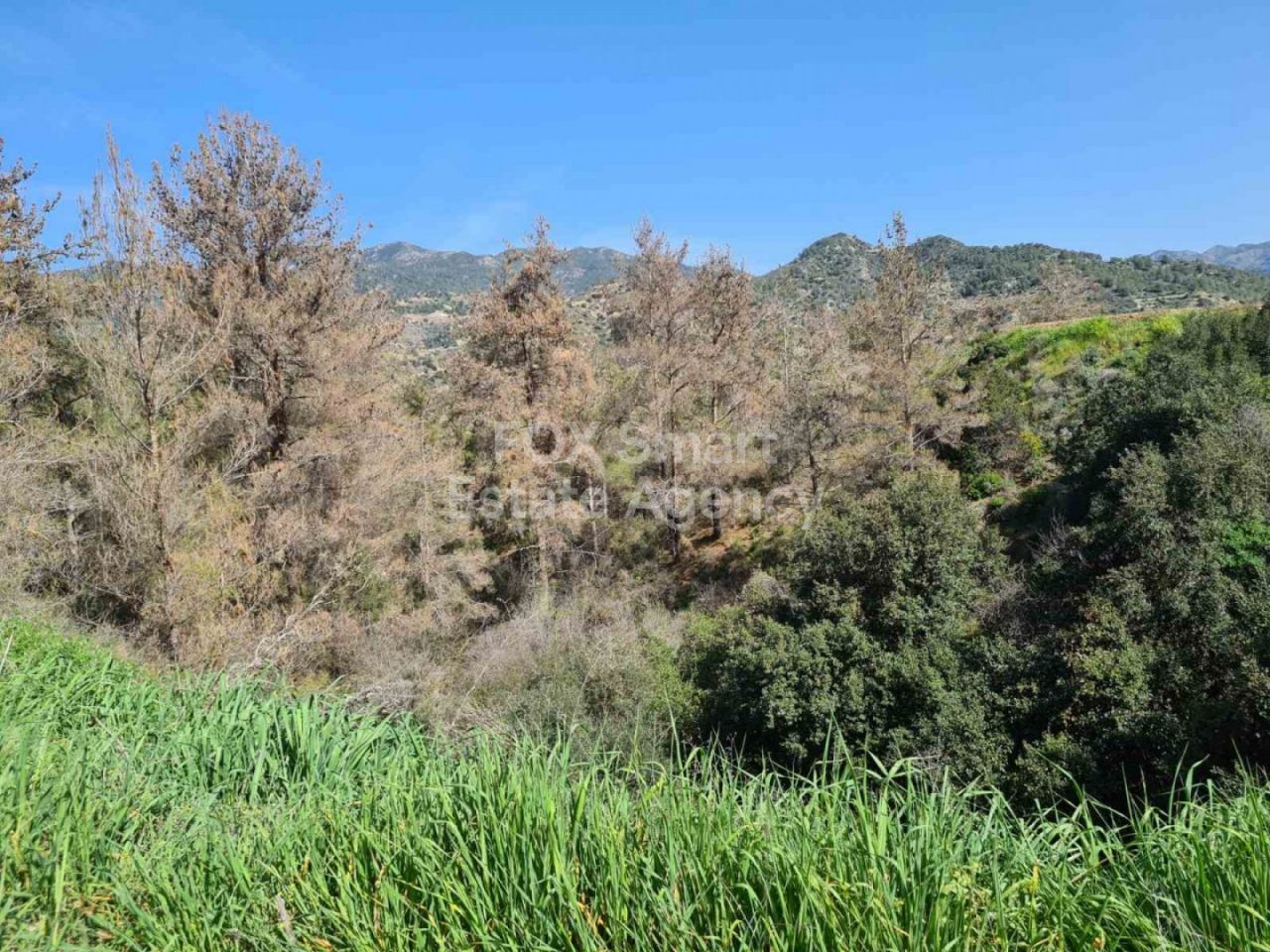 Immobile 26776 Kalo Chorio, Limassol / LIM-PAF-12193