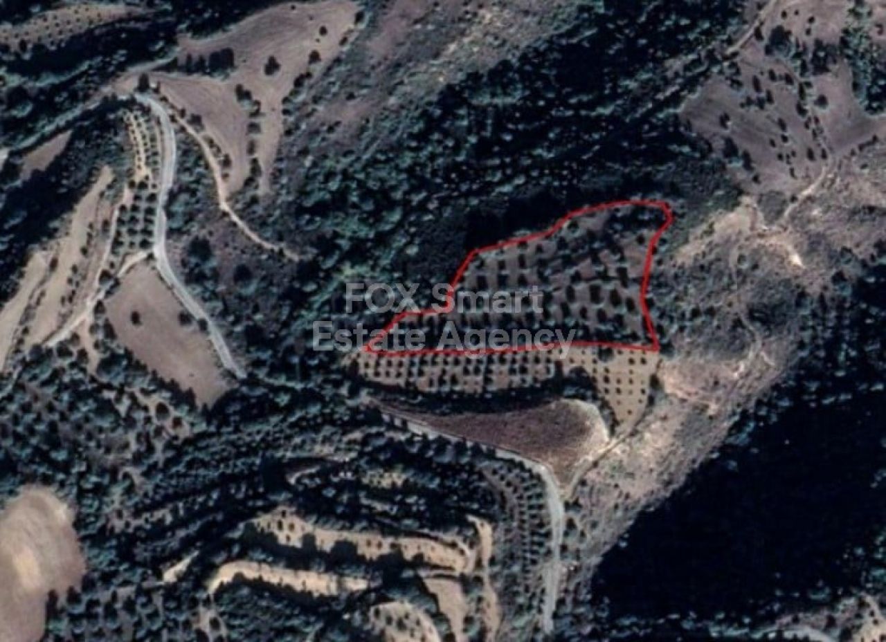 Thumbnail 1 房地产 8722 Pano Akourdaleia, 帕福斯 / LIM-PAF-L-110743