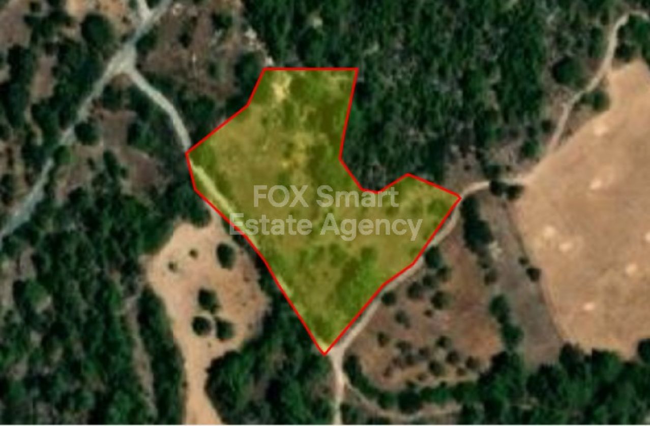 房产 26084 Lysos, 帕福斯 / LIM-PAF-8401