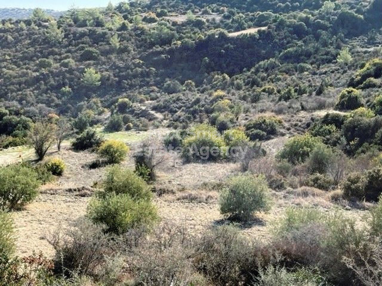 Thumbnail 1 房地产 2958 曼苏拉, 尼科西亚 / 1333