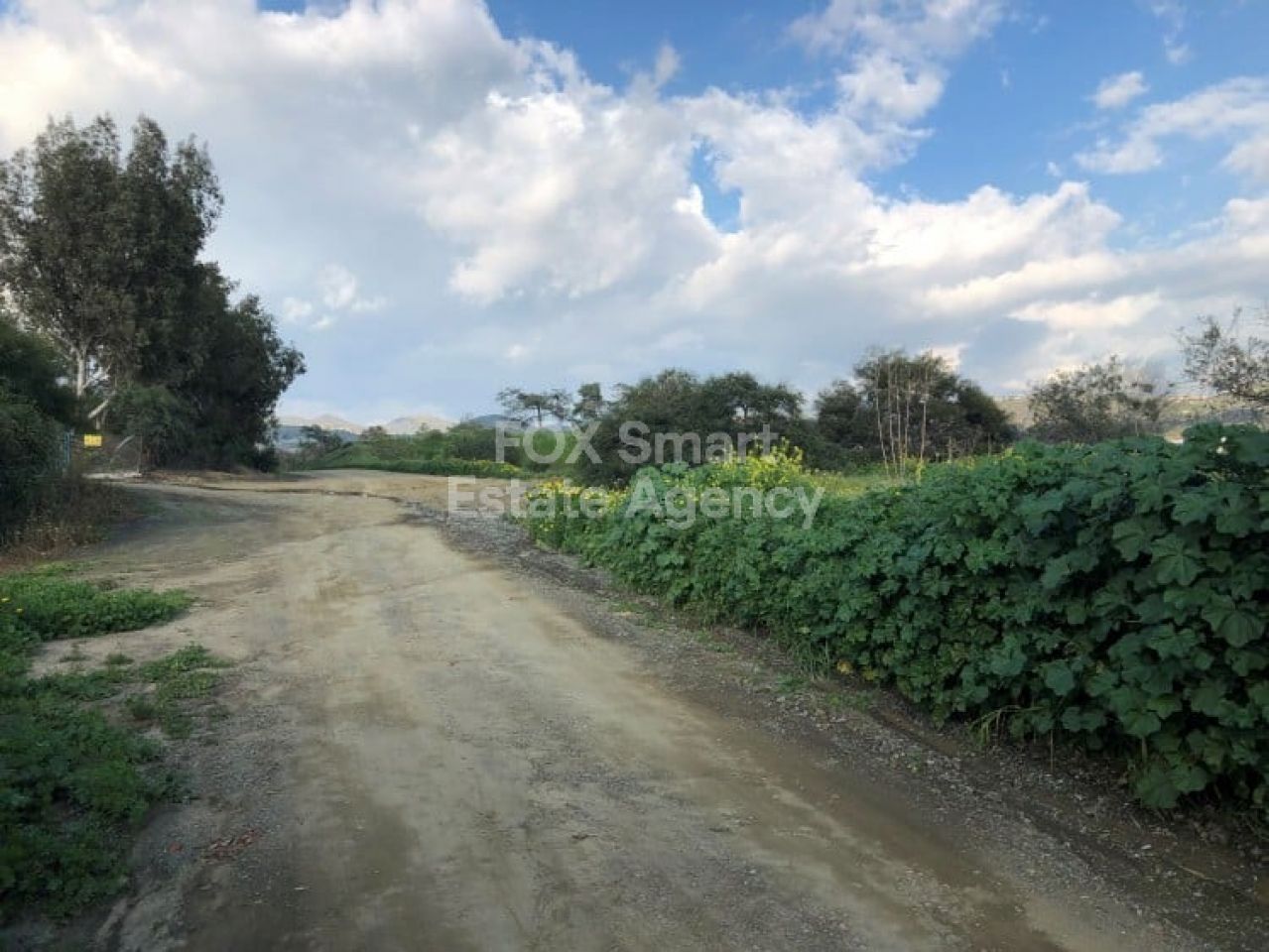 Thumbnail 1 EIGENTUM 4524 Monagroulli, Limassol / LIM-PAF-2921