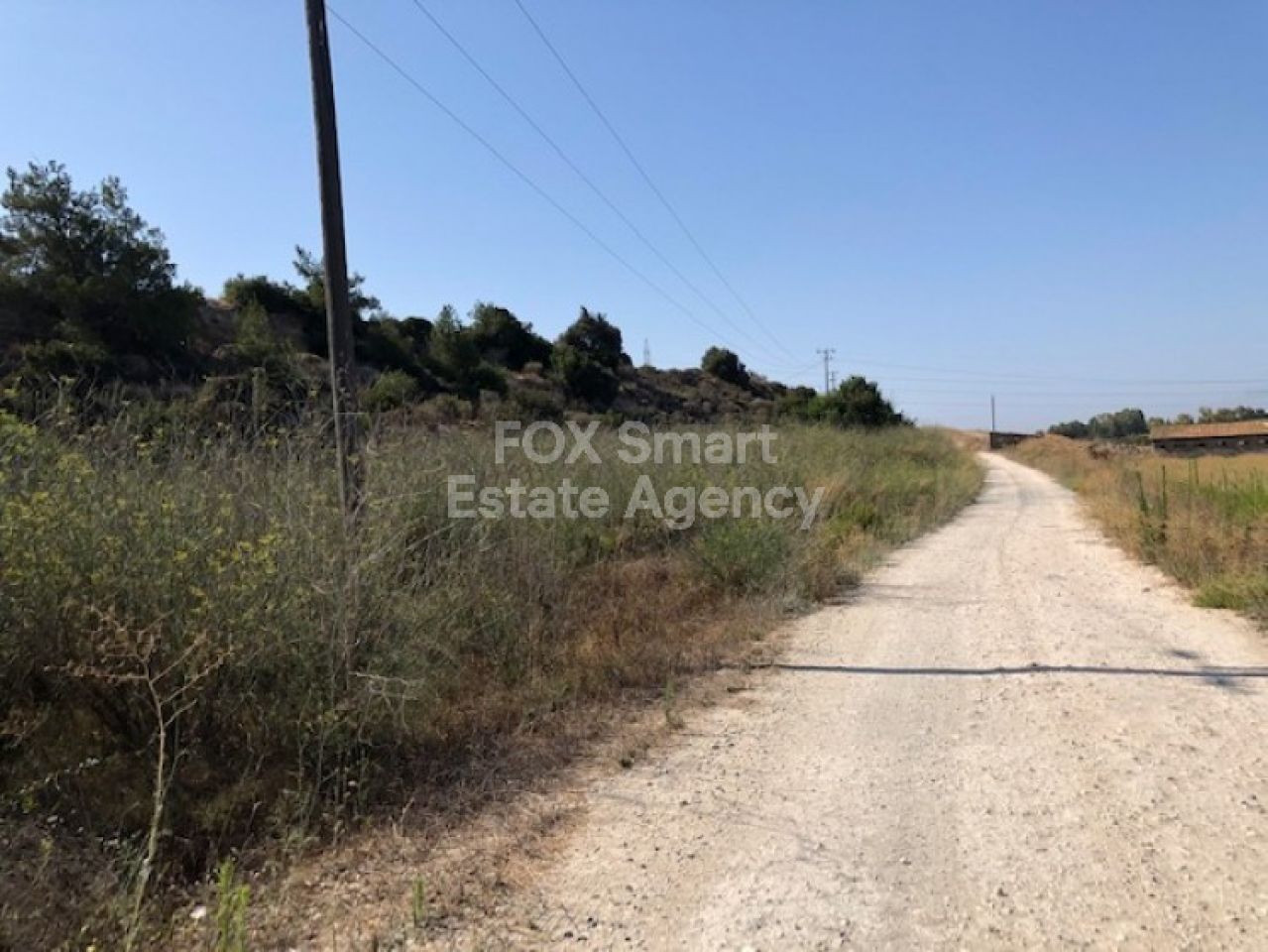 Thumbnail 4 LIM-PAF-5150 / נכס 4525 מוני, לימסול