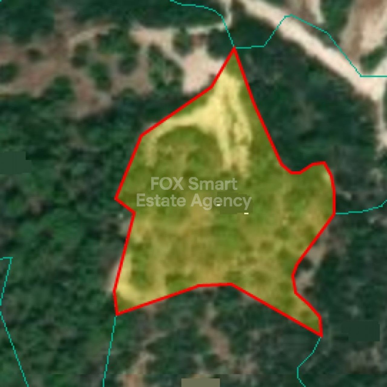 Thumbnail 1 Propriété 8852 Néo Chorio, Paphos / LIM-PAF-16183