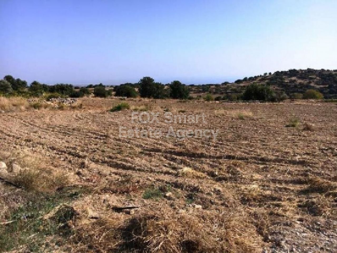 Thumbnail 1 Ακίνητα 4700 Πάχνα, Λεμεσος / LIM-PAF-L-106029