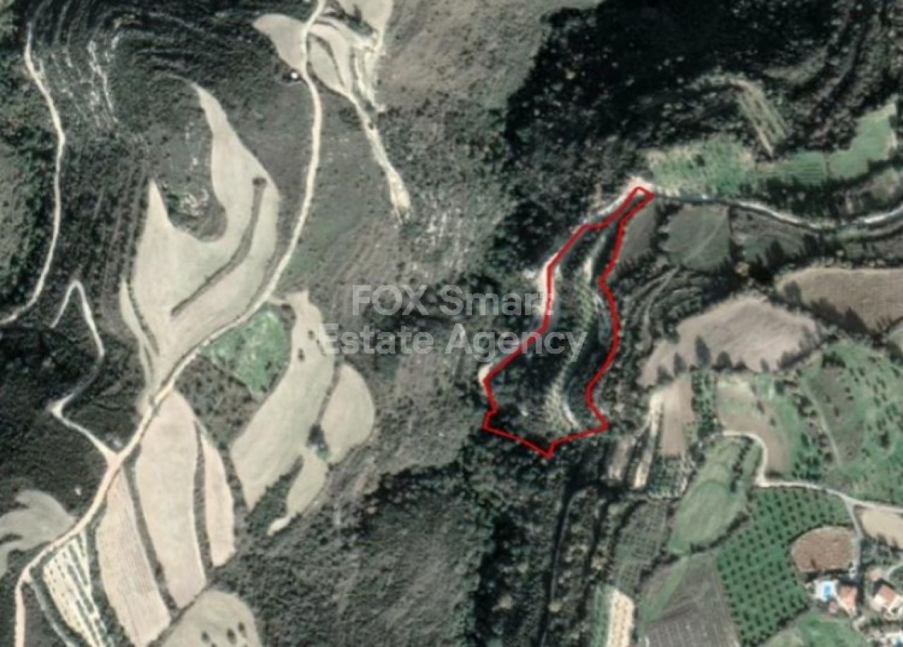 Thumbnail 1 房地产 8722 Pano Akourdaleia, 帕福斯 / LIM-PAF-L-110743