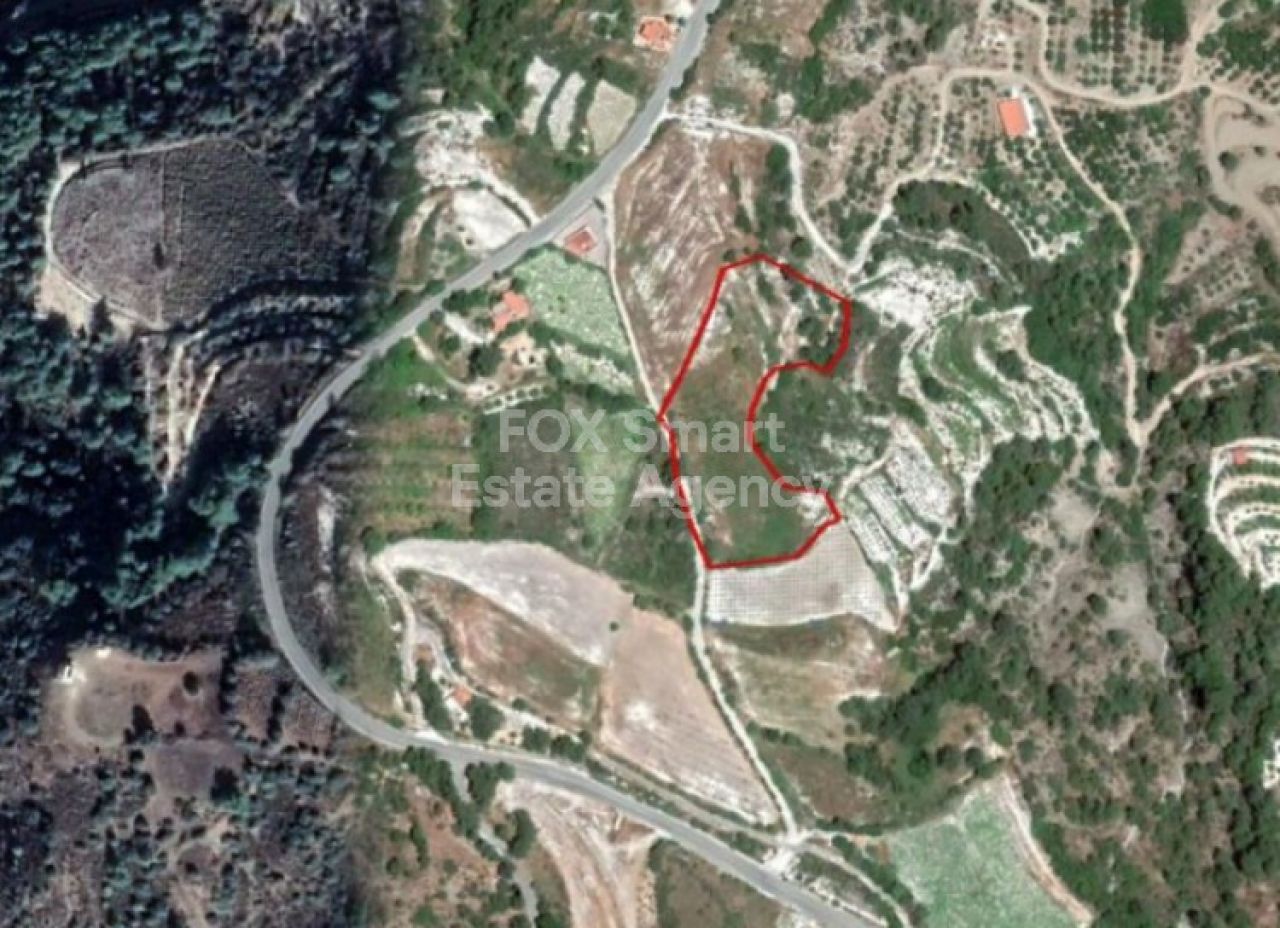 Объект недвижимости 29071 Мансура, Никосия / LIM-PAF-5885