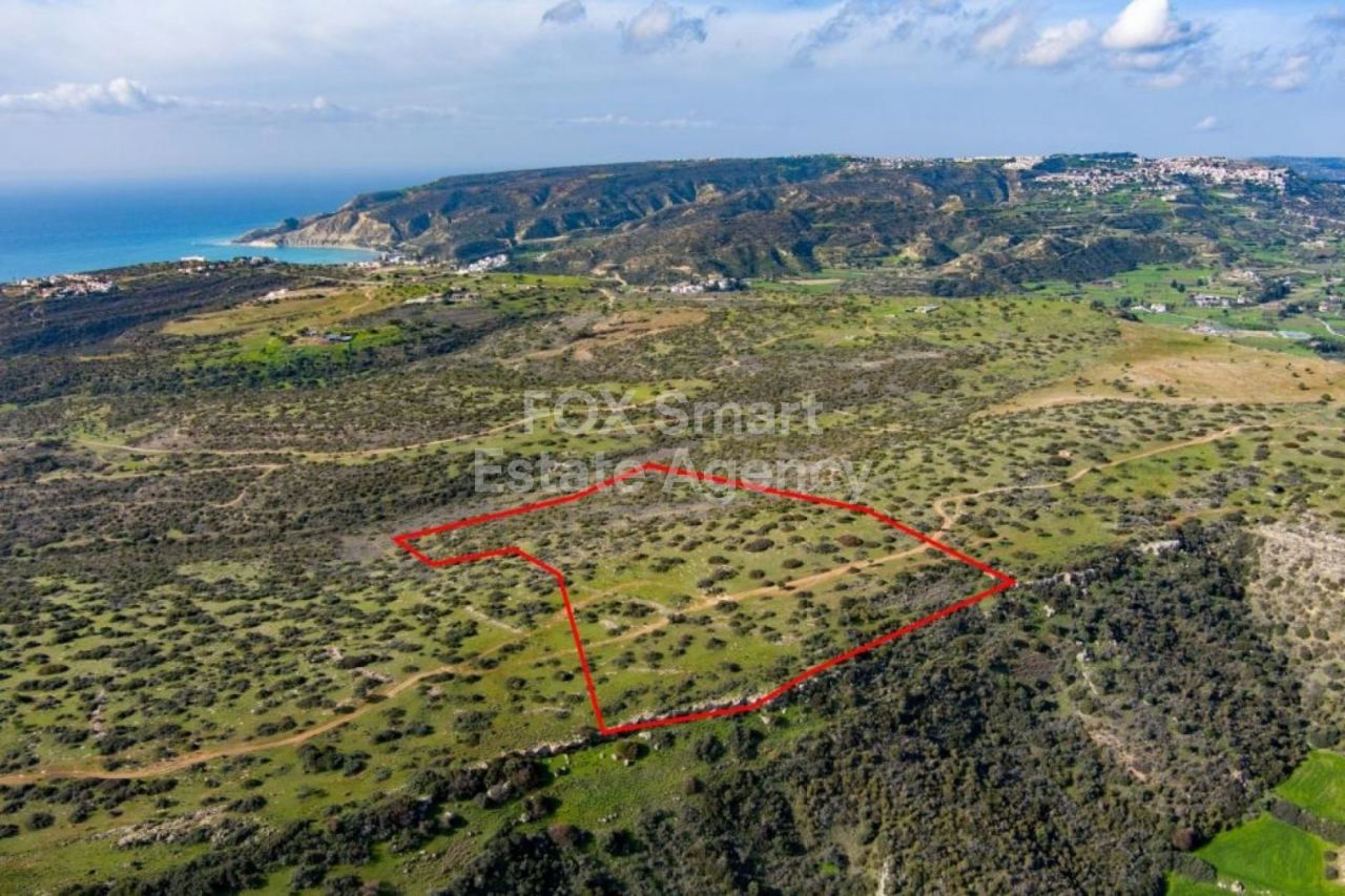Propiedad 27549 Pissouri, Limassol / LIM-PAF-12168