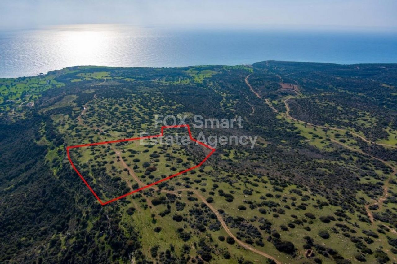 Propiedad 27549 Pissouri, Limassol / LIM-PAF-12168