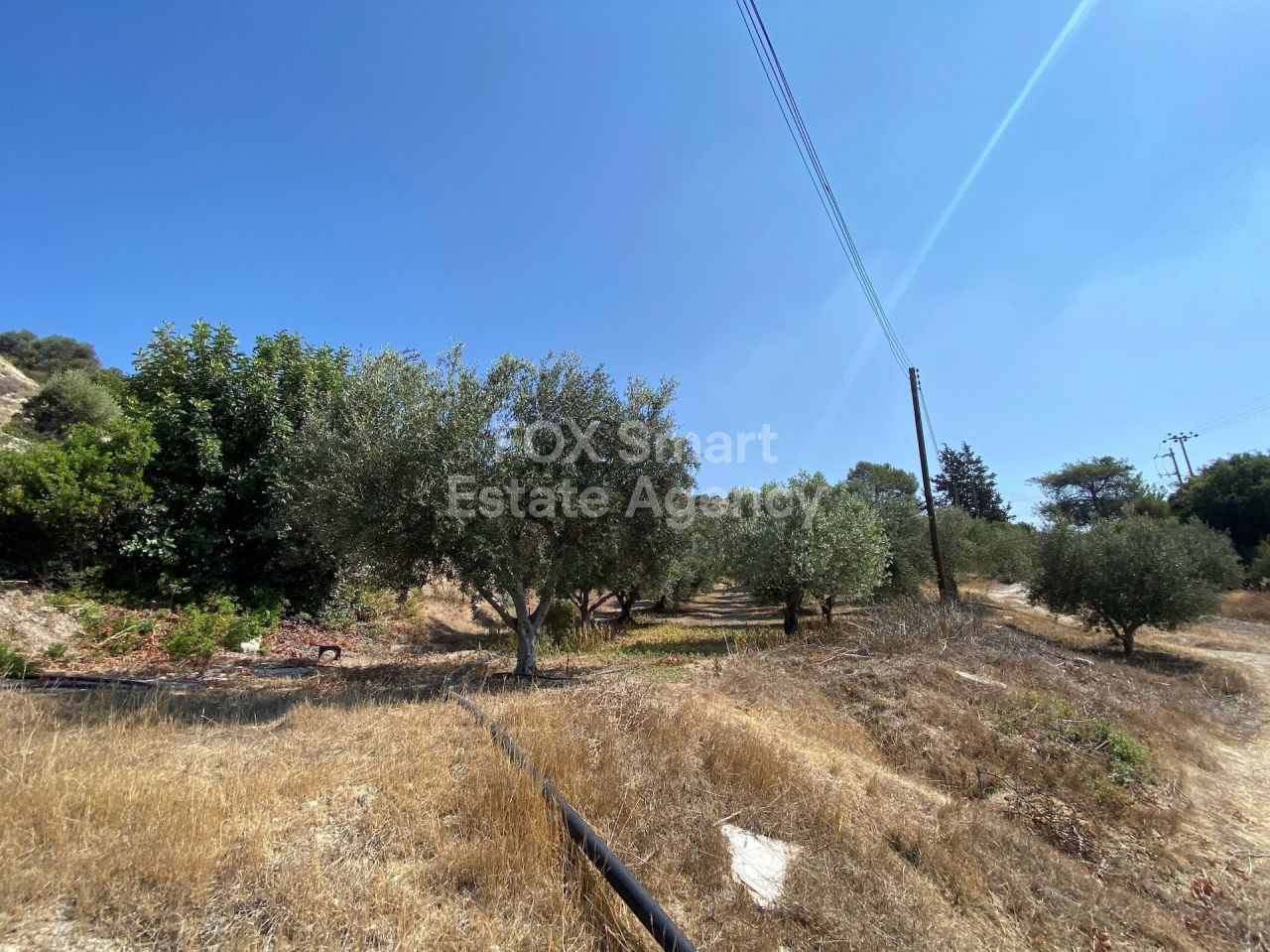 Thumbnail 11 EIGENTUM 4607 Pissouri, Limassol / LIM-PAF-18096