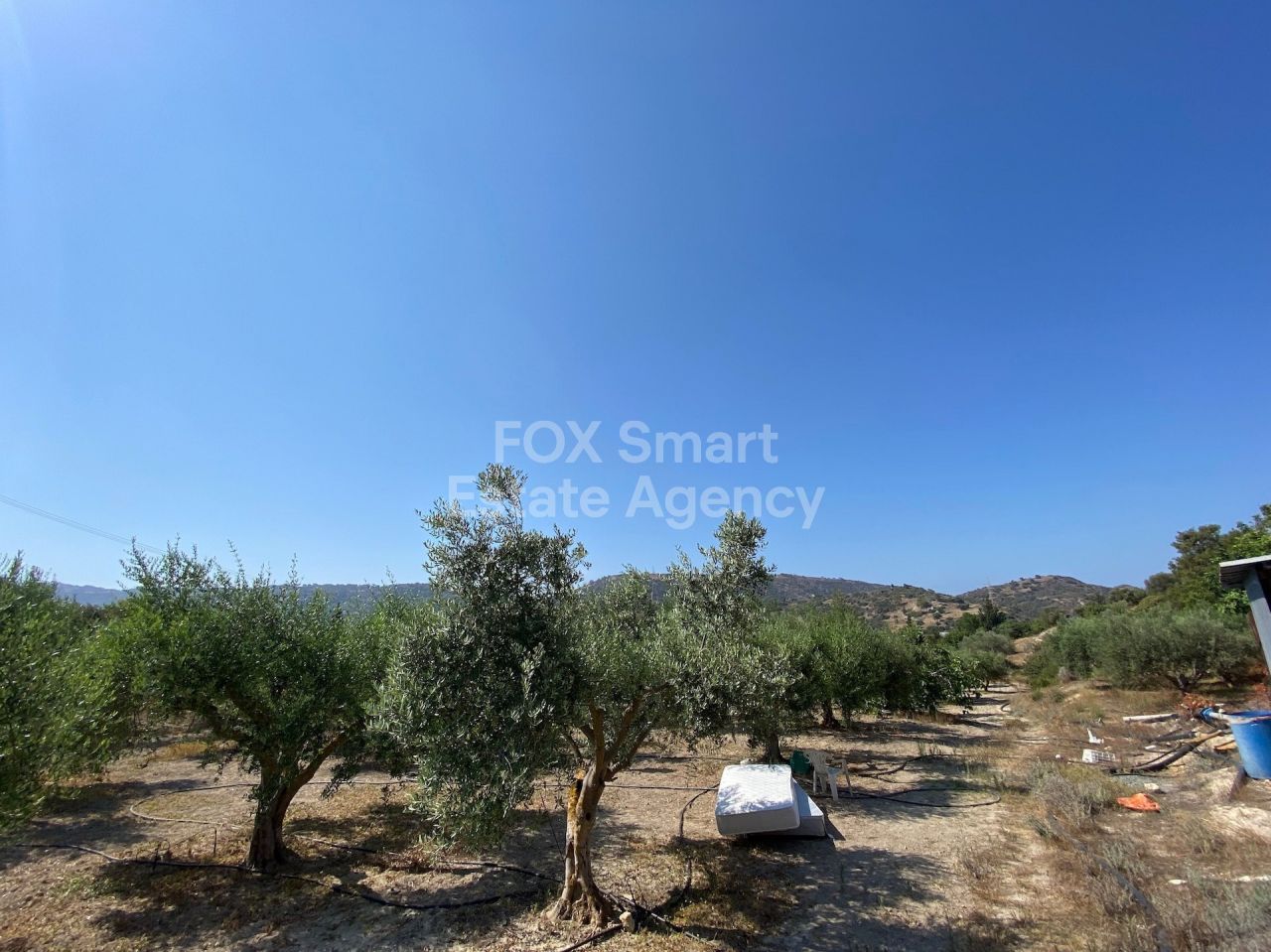 Thumbnail 12 EIGENTUM 4607 Pissouri, Limassol / LIM-PAF-18096