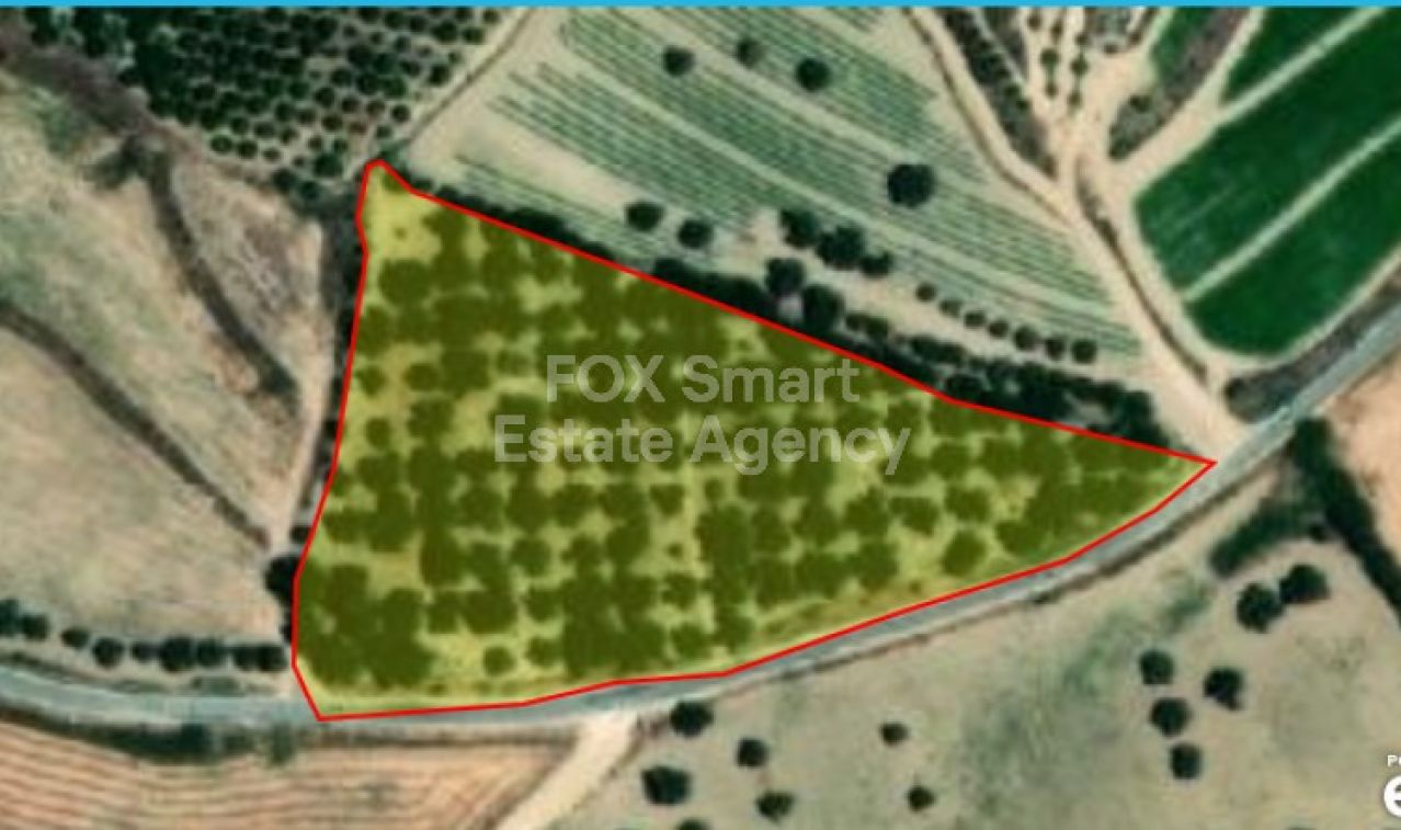 Thumbnail 1 EIGENTUM 8820 Polis, Paphos / LIM-PAF-L-118407
