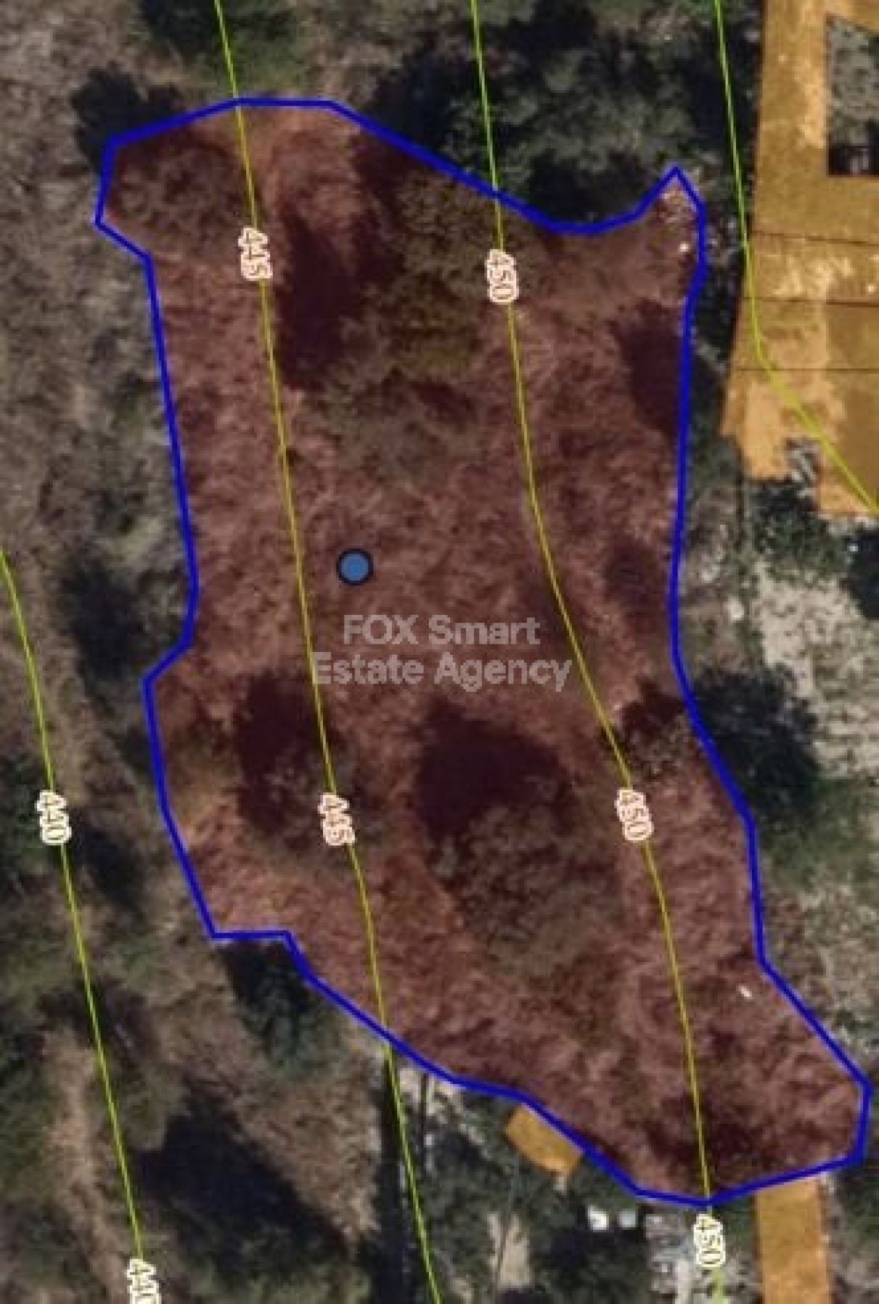 Nieruchomość 21167 Psathi, Pafos / LIM-PAF-15585