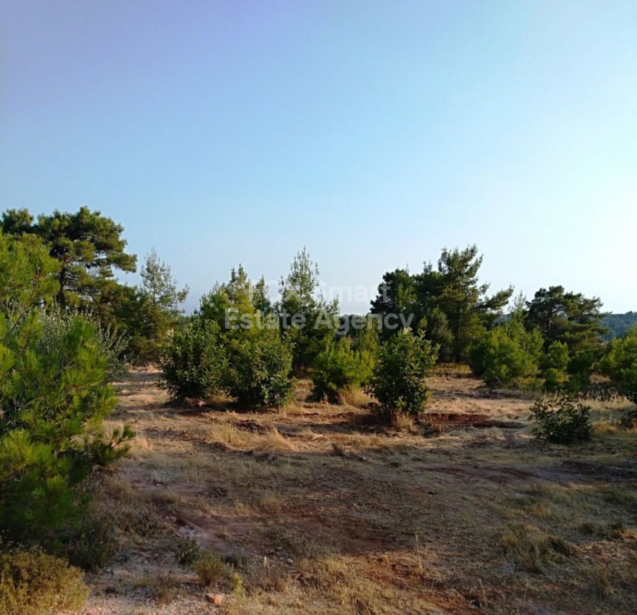 Thumbnail 1 Property 2958 Mansoura, Nicosia / LIM-PAF-4299