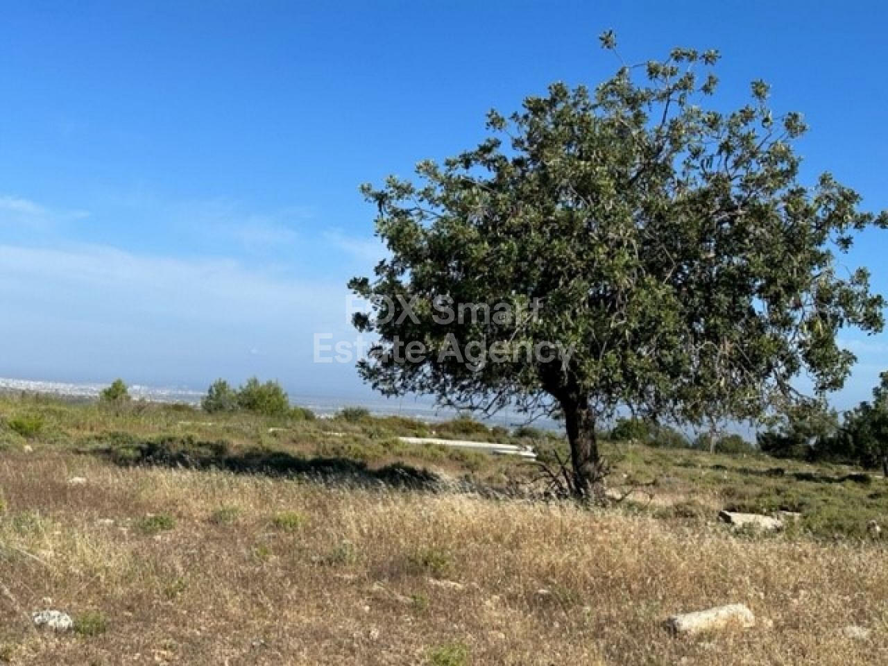 Thumbnail 2 Property 2958 Mansoura, Nicosia / LIM-PAF-4299