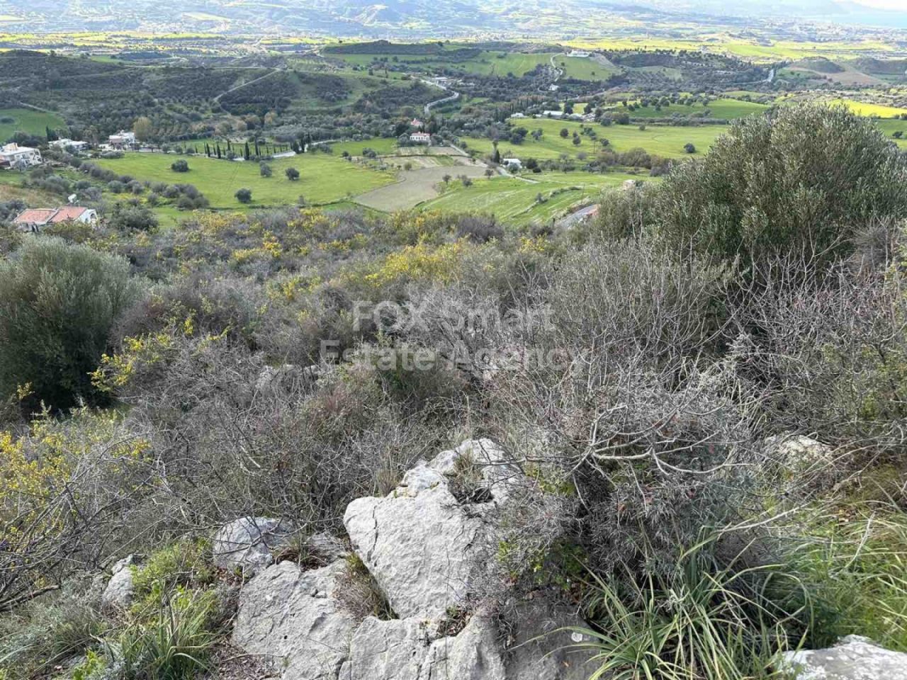 נכס 24987 סטני, פאפוס / LIM-PAF-13856