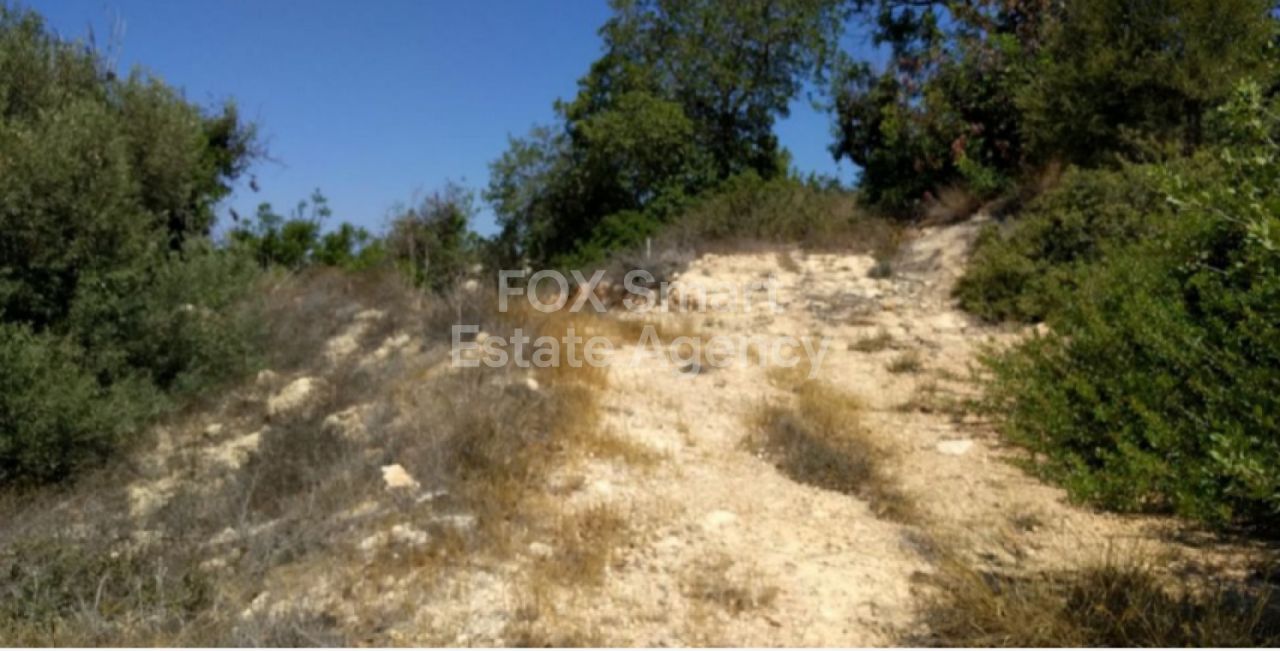 Thumbnail 2 23466 / נכס 8577 טאלה, פאפוס