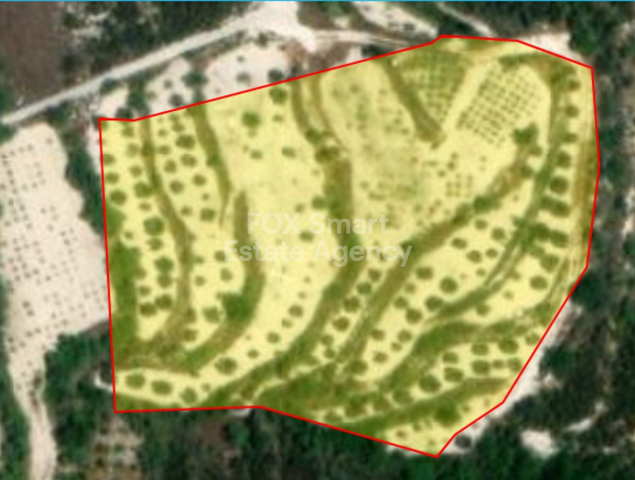 Ακίνητο 28187 Τσάδα, Πάφος / LIM-PAF-13581