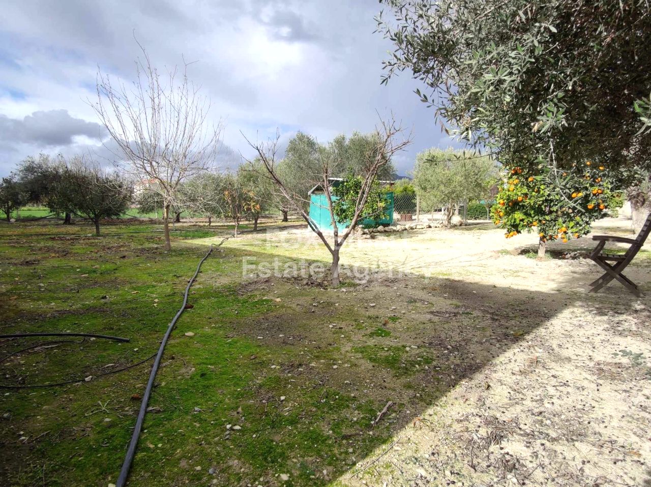 Thumbnail 29 Property 7570 Alethriko, Larnaca / 48744