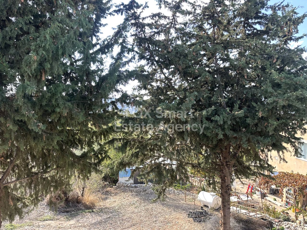 Thumbnail 34 Właściwość 8642 Amargeti, Pafos / LIM-PAF-32239