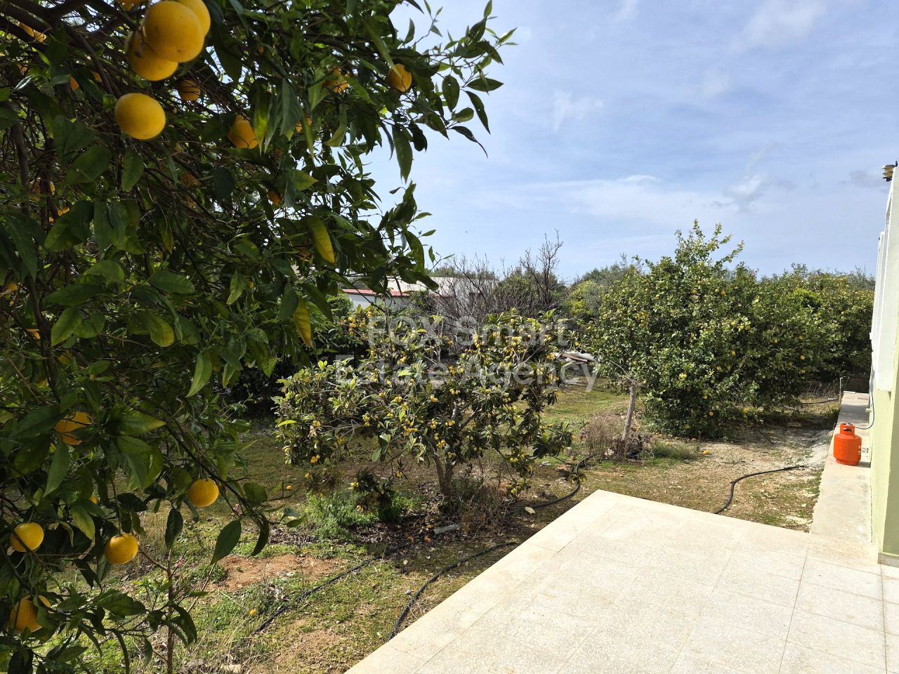 Thumbnail 14 Propiedad 8250 Empa, Pafos / LIM-PAF-33264