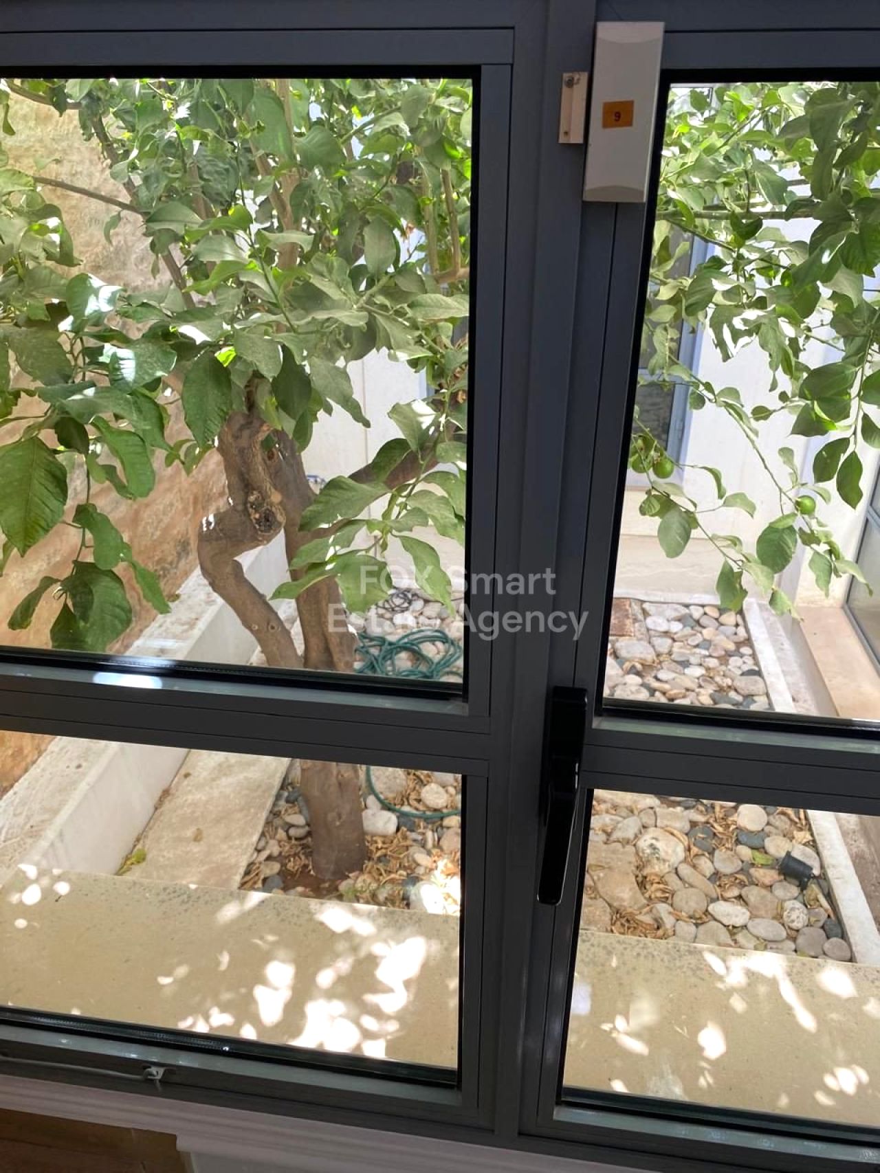 Thumbnail 15 Propiedad 2958 Mansoura, Nicosia / LIM-PAF-32731