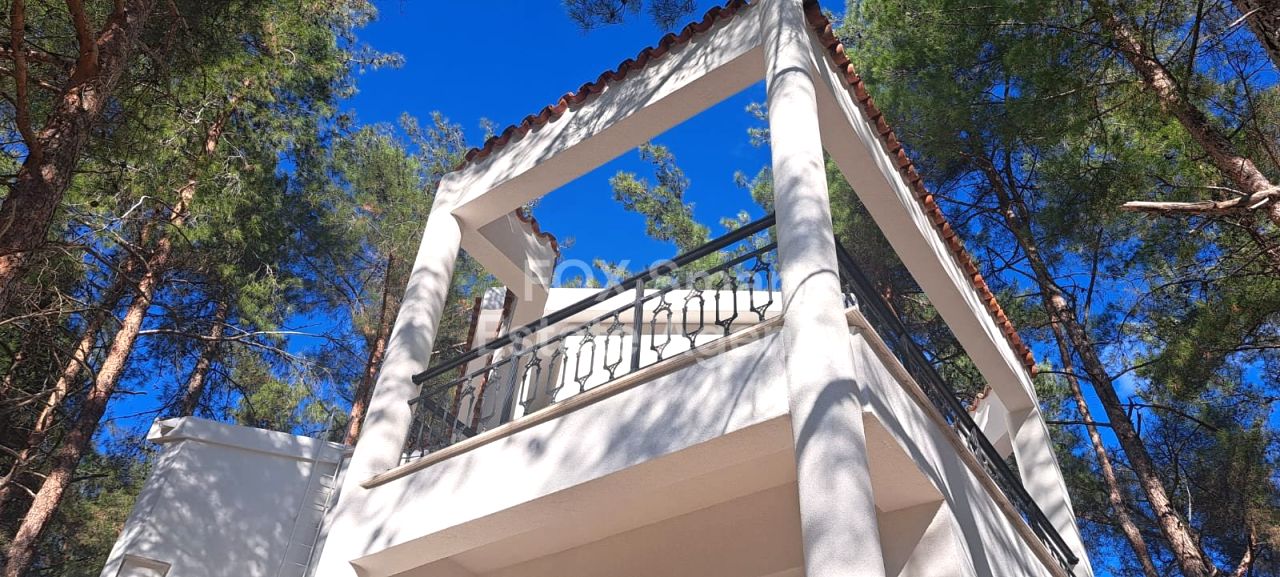 Thumbnail 4 Propiedad 4747 Moniatis, Limasol / LIM-PAF-33282