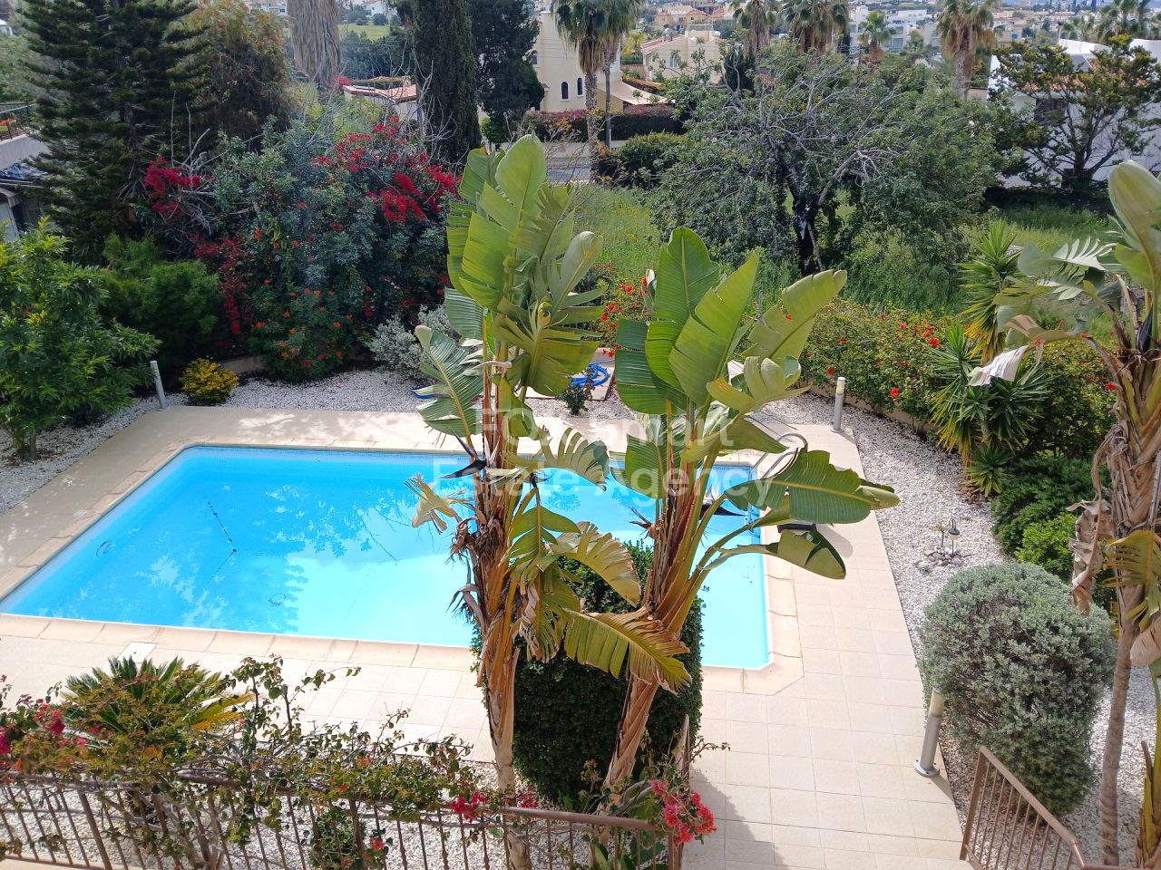 Immobilie 59064 Pegeia, Paphos / LIM-PAF-33466