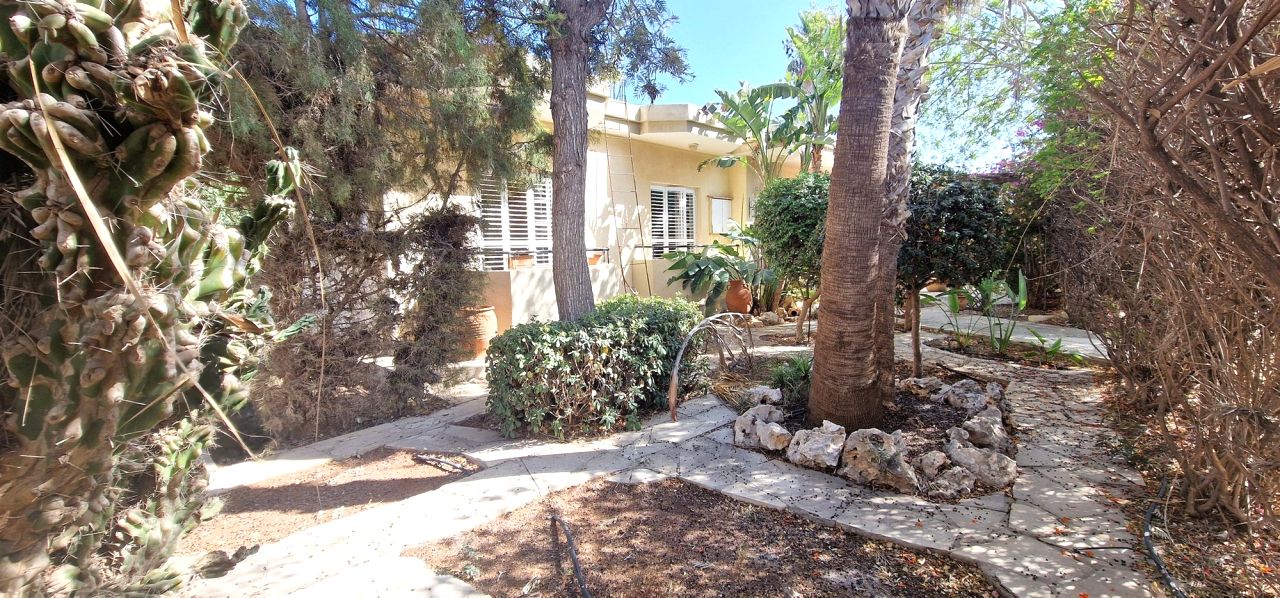 Thumbnail 29 10324 / נכס 2360 אגיוס דומטיוס, ניקוסיה