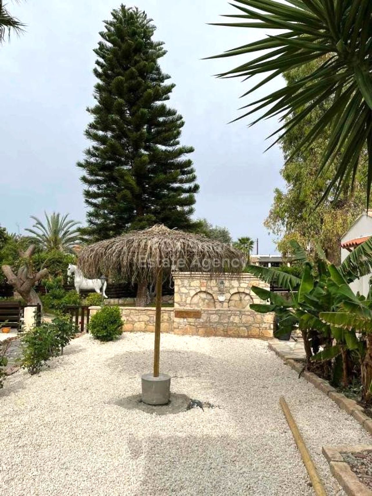 Thumbnail 31 LIM-PAF-32184 / נכס 8502 אנאריטה, פאפוס