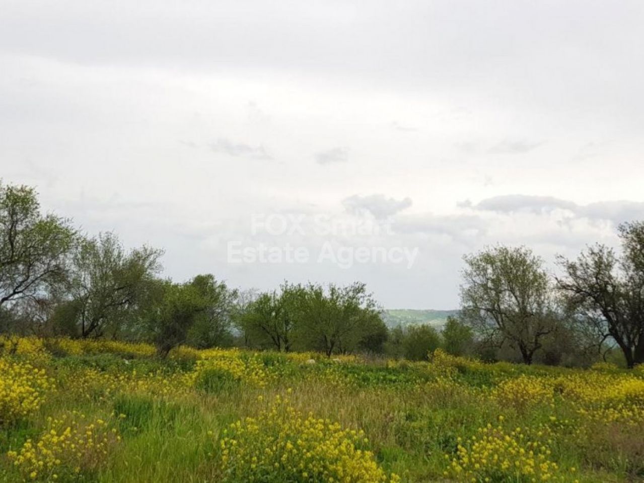 Thumbnail 1 Ακίνητα 8740 Λάσα, Πάφος / LIM-PAF-7555