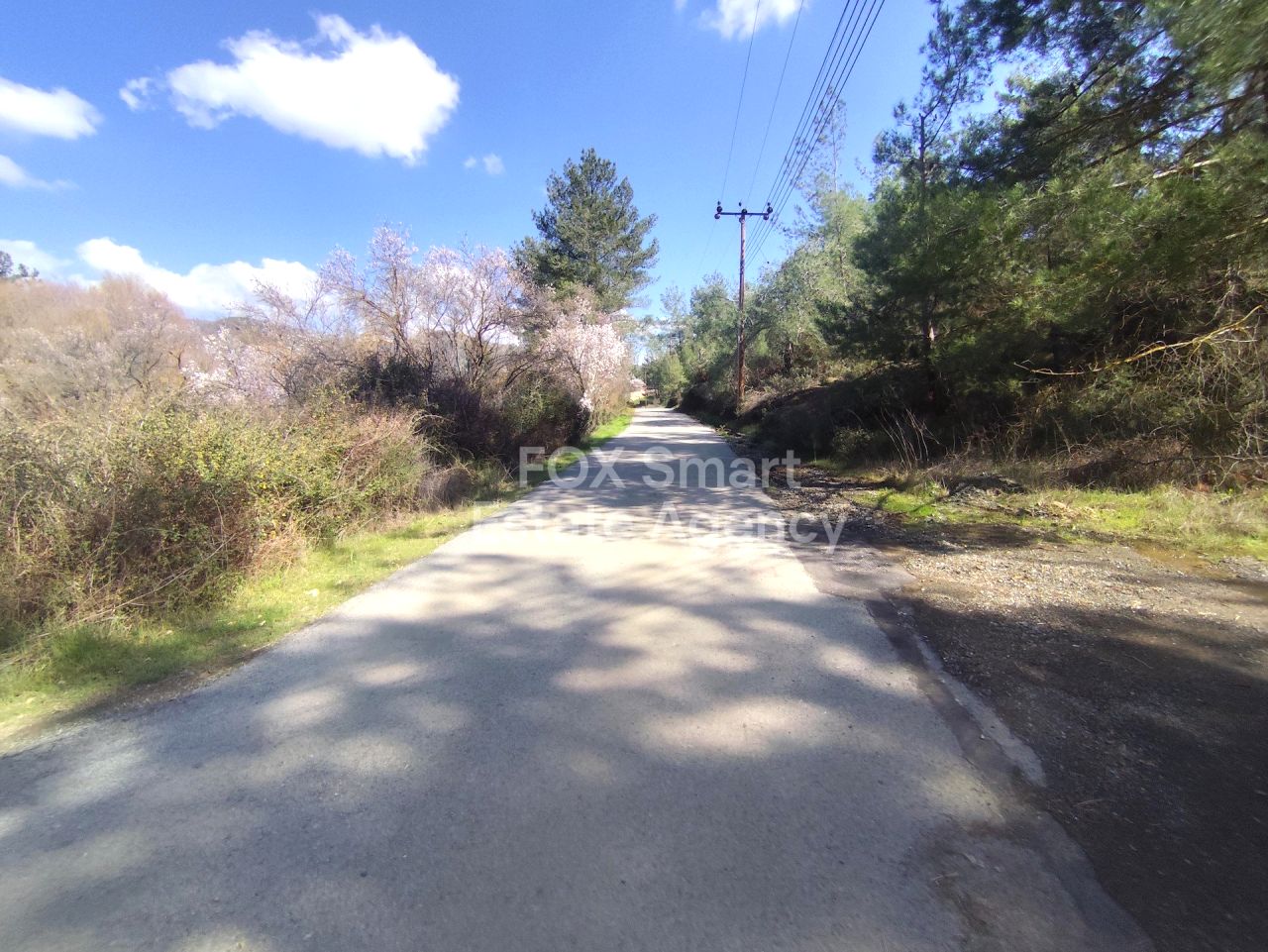 Thumbnail 17 房地产 4778 曼德里亚, 利马索尔 / LIM-PAF-32981