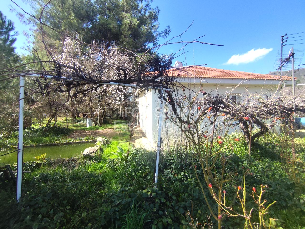 Thumbnail 15 房地产 4778 曼德里亚, 利马索尔 / LIM-PAF-32981