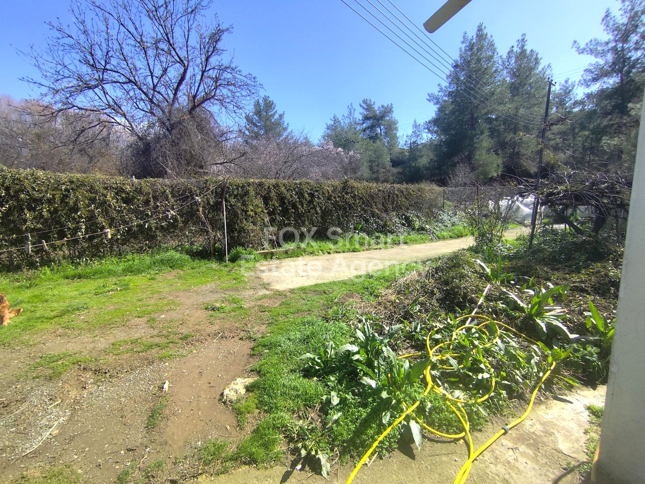 Thumbnail 14 房地产 4778 曼德里亚, 利马索尔 / LIM-PAF-32981