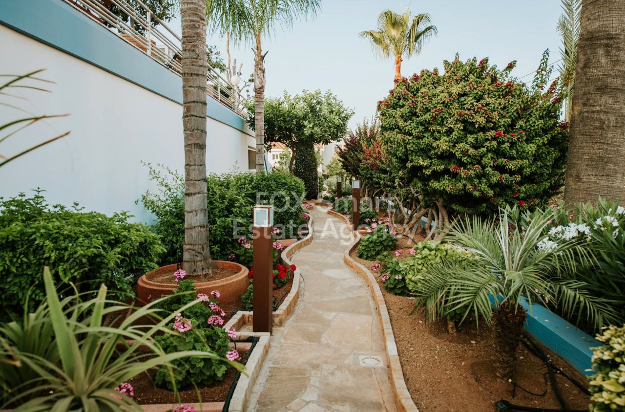 Thumbnail 9 Właściwość 2958 Mansura, Nikozja / LIM-PAF-31758