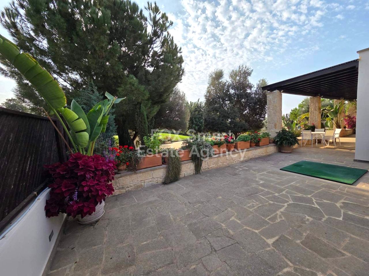 Thumbnail 13 Propiedad 2958 Mansoura, Nicosia / LIM-PAF-32552