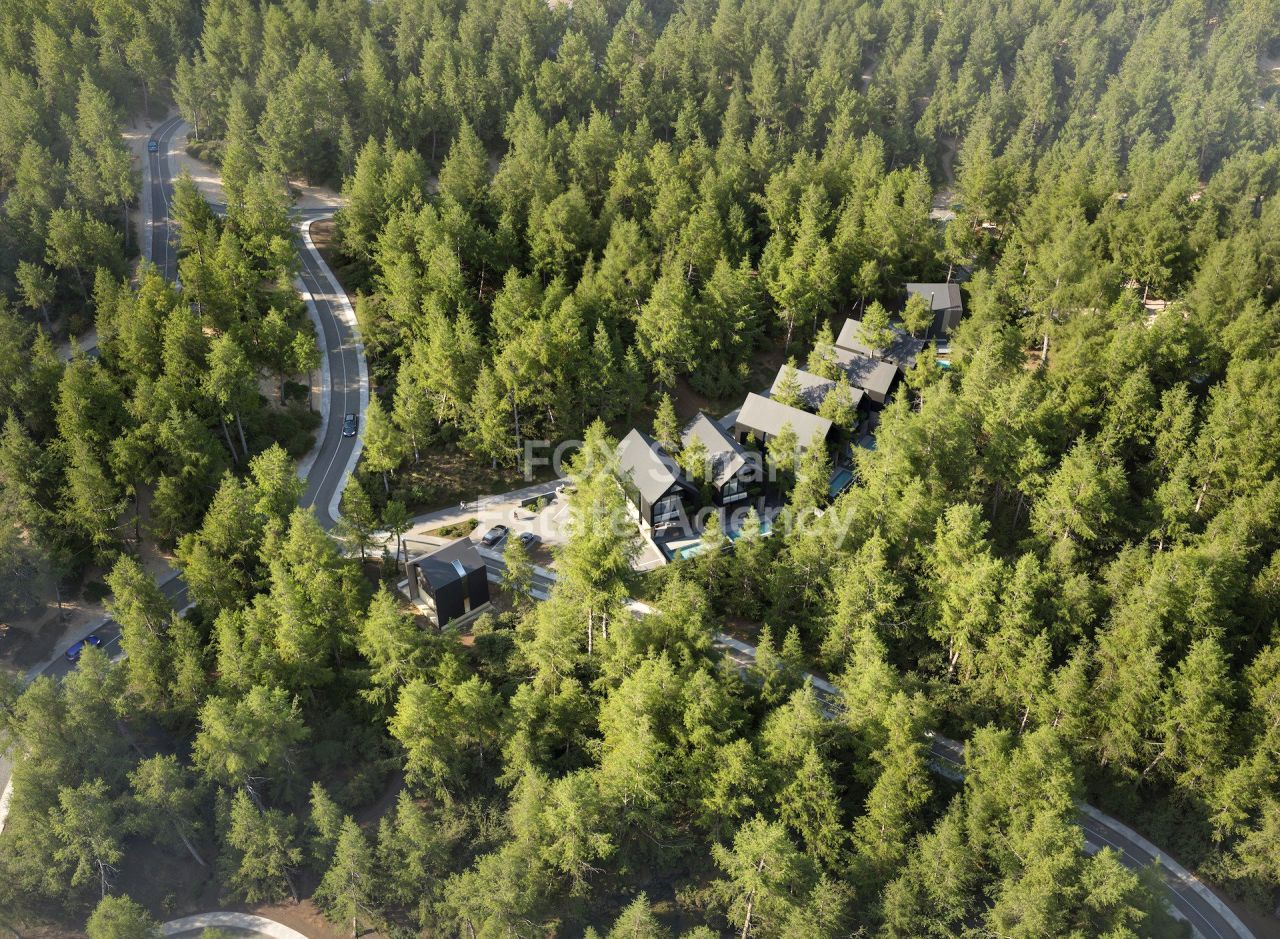 Thumbnail 8 Propiedad 4747 Moniatis, Limasol / LIM-PAF-33150