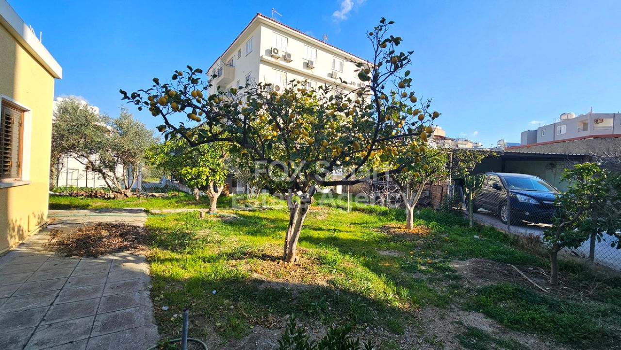 Thumbnail 15 Property 1110 Nicosia / 40874