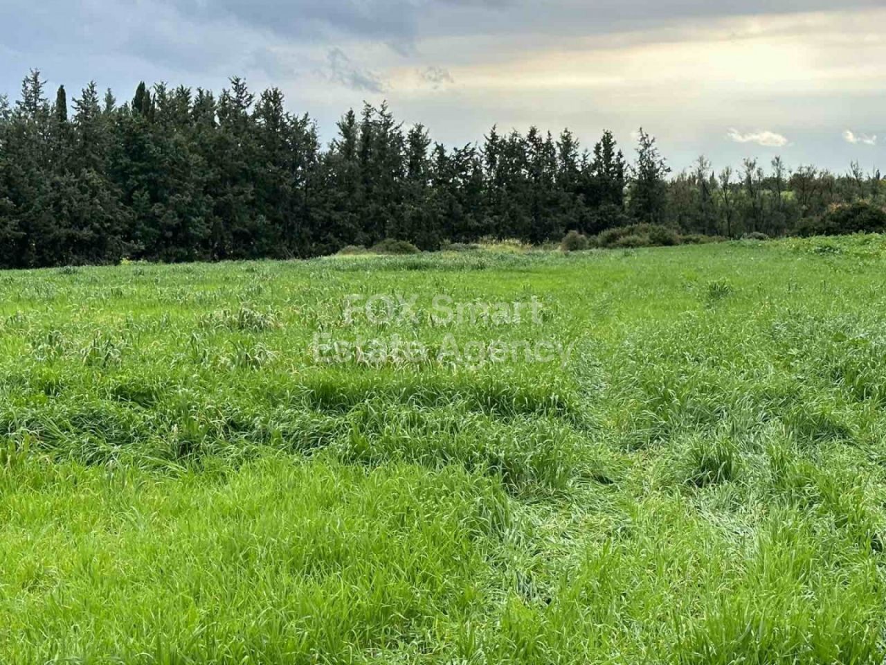 Bien immobilier 24978 Nikokléia, Paphos / LIM-PAF-11435