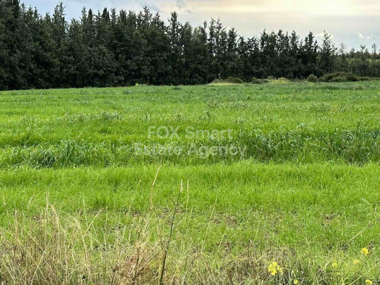 Bien immobilier 24978 Nikokléia, Paphos / LIM-PAF-11435