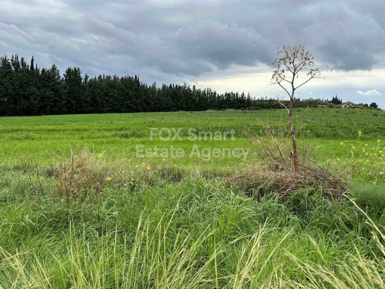 Bien immobilier 24978 Nikokléia, Paphos / LIM-PAF-11435